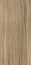 Avanti Ponytail - SPCDS Play - Pure n Tru Beauty Supply