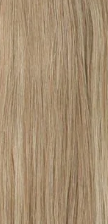 Avanti Ponytail - SPCDS Play