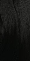 Eve Hair Platino Human Hair Touch Clip-in Extensions 22"