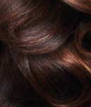 FreeTress Crochet Braids Pre-Looped Royal Gorgeous Loc 22"