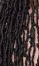X Pression Pre - Stretched Braiding Hair - Pure n Tru Beauty Supply
