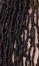 X Pression Pre-Stretched Braiding Hair